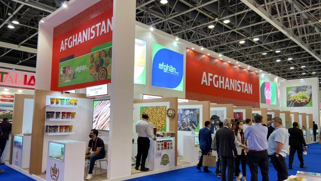 Exhibition pavilion with printed fascias and lightboxes